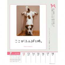 トライエックス 人生はワンチャンス 卓上/壁掛 2026年カレンダー 18×14cm CL-383 - 写真の通り - チェックする 6