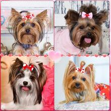 10pcs Valentine's Day Red, White & Pink Heart & Bow Pet Hair Accessories, Cute Dog Hair Bands, Decorative Items, Attention-Grabbing Accessories For Dates And Outings, Puppy Keep, Cat And Dog Stuff, - Multicolor - View 7