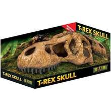 Exo Terra T-Rex Skull Terrarium Decor(Cráneo) - Multicolor - Ver 1