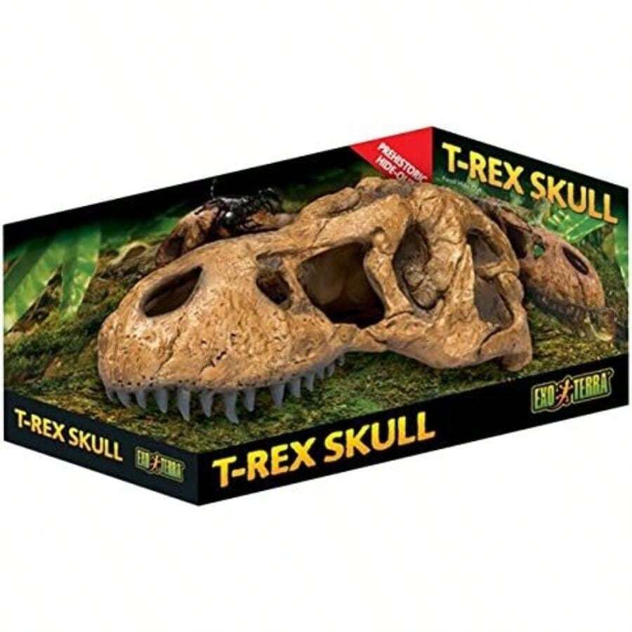 Exo Terra T-Rex Skull Terrarium Decor(Cráneo) - Multicolor - Ver 1
