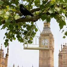 1个耐候鸟秋千栖架玩具，鸟笼支架，适用于户外阳台、花园，节日礼物（夏季、父亲节）——经久耐用，是观鸟和户外宠物娱乐的理想之选，也是花园宠物和户外爱好者的必备礼物。#户外鸟类护理 #花园宠物 #节日礼物 #观鸟配件 #耐用鸟类玩具