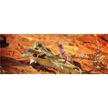 Exo Terra Reptile Skull Hide Crocodile(Cocodrilo) - Multicolor - Ver 2