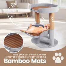 Kitty Oasis - Mini torre de arbol para gatos ajustable de 23.6 pulgadas con postes de rascar perchas de felpa y bola de juguete ideal para Munchkin y gatitos - como en la foto - Ver 5