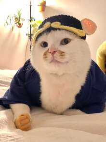 4pcs HUITAIYANG Pet Headbands, Suitable For Small Dogs And Cats, Includes Frog, Piggy, And Other Cute Knitted Pet Headpieces, Fits Medium And Small Pets