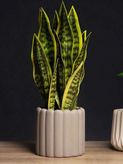 1pc Artificial Yellow-Edged Tiger Orchid Plant, Fake Snake Skin Orchid Tropical Green Plant Sword Lily Decor, Desktop Ornament, Home Bonsai (Excluding Planter)