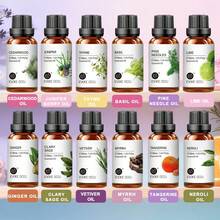 Tinh dầu EVOKE OCCU 30mL/1.01 Fl.Oz, tinh dầu thực vật nguyên chất giúp thư giãn, giảm căng thẳng. Dùng cho máy khuếch tán ô tô, máy tạo độ ẩm, tắm, massage, chăm sóc da, tóc, xà phòng, làm nến, nước hoa tự chế - Tinh dầu quýt, hoa nhài, hoa hồng, oải hương, vani, hương thảo, chanh, bạc hà, bạch đàn, cam. - Mùi hương đa dạng - Xem 5