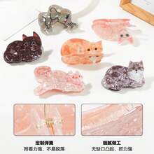 1pc High-End Cute Cat Clip Personality  Claw Clip Cartoon Design Back Of Head Shark Clip - T3893-04 - Xem 2