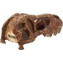 Exo Terra T-Rex Skull Terrarium Decor(Cráneo) - Multicolor - Ver 2