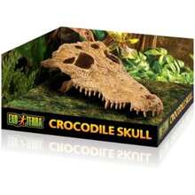 Exo Terra Reptile Skull Hide Crocodile(Cocodrilo) - Multicolor - Ver 4