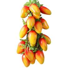 Mangue multicolore