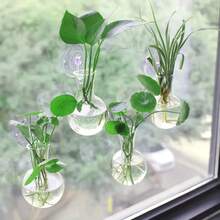 1/2pcs Modern Mini Wall-Mounted Plant Propagation Bottle, Hanging Vase, Round Planter, Home Decor, Plant Themed, Hydroponics Stem, Indoor Outdoor Multipurpose Components (Plastic Material, Plants Not Included) - Clear - View 4