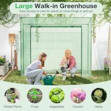 Walk-In Greenhouse Outdoor Portable Mini Greenhouse W/ PE Cover Heavy-Duty Metal Frame Roll-Up Zipper Door Double-Layer Screen Windows Winter Hot House For Garden Yard 200 X 77 X 169 Cm - Green - View 7
