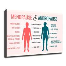 1pc, Menopause Andropause Symptoms Health Education Canvas Wall Art Medical Diagram Print Hormonal Change Information Poster Wellness Doctor Office Decor Modern Human Body Artwork For Clinic Home - 彩色 - 查看 1
