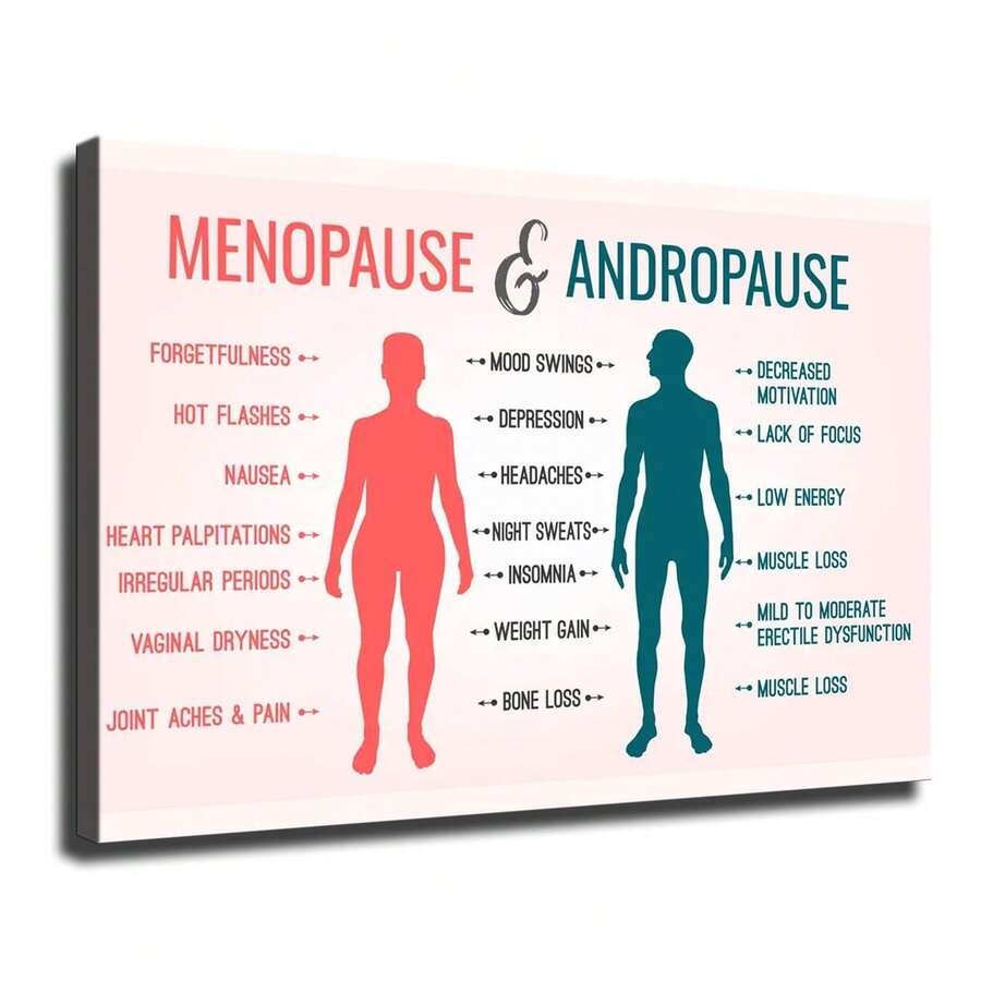 1pc, Menopause Andropause Symptoms Health Education Canvas Wall Art Medical Diagram Print Hormonal Change Information Poster Wellness Doctor Office Decor Modern Human Body Artwork For Clinic Home - 彩色 - 查看 1