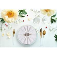 Palisa Cloth Dinner Napkins With Hemstitched Detailing & Mitered Corners 20x20 Inches - Washable Polyester Table Napkins For Weddings & Everyday Use - Set Of 12, White,20inchx20inch(Setof12),White - 白色的 - 查看 6