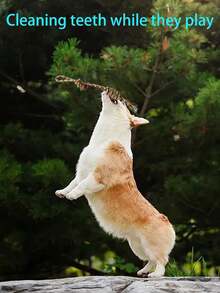 هدية عيد الحب للكلاب - مجموعة ألعاب حبال متينة، ألعاب سحب الحبل التفاعلية للعض والقضم للكلاب الصغيرة/المتوسطة، تدريب الجراء واللعب، ألوان متنوعة - متعدد الألوان - مشاهدة 3