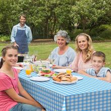 3 Pcs Light Blue Gingham Tablecloth Decorations, Disposable Plastic Blue Checkered Tablecloth Buffalo Plaid Table Cover For Outdoor Picnic, Kitchen, Holiday Birthday Party Supplies,54 X 108 Inch,LightBlue - Lightblue - 查看 7