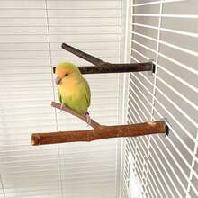 Bird Cage Accessories - Maroon - View 11