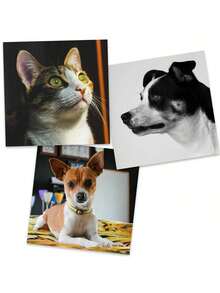 1/5/10pcs Customized - Best Quality Photo Prints - 4x6 Inch 5x7 Inch And Square Prints, Capture Your Unforgettable Moments, Personalized Photo Booth, Customized Photo Booth Prints, Personalized Photo Booth Prints, Wedding Photo Booth Cards, Perfect For Holiday Decor - Multicolor - View 2