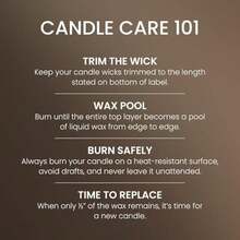 Yankee Candle - Vela perfumada de pilar mediano con hasta 115 horas de combustión, mezcla de cera de plantas premium para quemaduras constantes, vela de pilar de 14 onzas con fragancia de relleno de(Bosques costeros Medium Pillar) - Multicolor - Ver 5