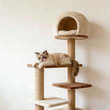 Natürliches Juteseil, dickes Juteseil, langanhaltend und stabil, geeignet für Bastelarbeiten, Gartenpflege, Kratzbäume für Katzen, Geschenkverpackung, Heimdekoration - natürliche beige Jutefaser, nicht leicht zu zerbrechen, ideal für DIY-Projekte und Haustierbesitzer, auch ein Muss für Gartenzubehör, rustikales Aussehen, hohe Qualität, kann für Jutehandwerke, Jutespulen, dickes Juteseil, Jutegarn, grobe Jute, Juteseil, Jutekordel, geflochtenes Seil usw. verwendet werden. - Beige - Übersicht 6