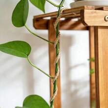 Natürliches Juteseil, dickes Juteseil, langanhaltend und stabil, geeignet für Bastelarbeiten, Gartenpflege, Kratzbäume für Katzen, Geschenkverpackung, Heimdekoration - natürliche beige Jutefaser, nicht leicht zu zerbrechen, ideal für DIY-Projekte und Haustierbesitzer, auch ein Muss für Gartenzubehör, rustikales Aussehen, hohe Qualität, kann für Jutehandwerke, Jutespulen, dickes Juteseil, Jutegarn, grobe Jute, Juteseil, Jutekordel, geflochtenes Seil usw. verwendet werden. - Beige - Übersicht 3