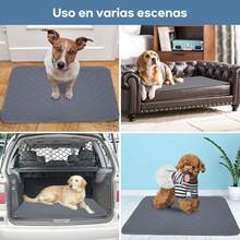 ml 2 Piezes Almohadilla de Orina para PerrosAlmohadilla para orinar súper Absorbente de 70x50cm Tapete Entrenador para Perro Lavable y Reutilizable Antideslizante Almohadilla para Mascotas10101 - Gris - Ver 8
