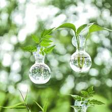 1/2pcs Modern Mini Wall-Mounted Plant Propagation Bottle, Hanging Vase, Round Planter, Home Decor, Plant Themed, Hydroponics Stem, Indoor Outdoor Multipurpose Components (Plastic Material, Plants Not Included) - Clear - View 1