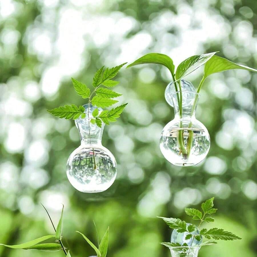 1/2pcs Modern Mini Wall-Mounted Plant Propagation Bottle, Hanging Vase, Round Planter, Home Decor, Plant Themed, Hydroponics Stem, Indoor Outdoor Multipurpose Components (Plastic Material, Plants Not Included) - Clear - View 1