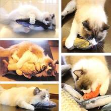 幼猫训练互动仿真鱼玩具，耐用户外训练辅助用品，适用于各种猫咪，互动玩具，幼猫玩耍，逼真鱼形设计，猫薄荷玩具，逗猫磨牙咬玩具