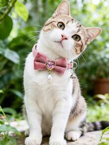 1 Piece Pet Bow Tie Heart Collar Adjustable Neck Circumference Cat Collar Dog Collar Pet Accessories Pet Supplies - Multicolor - View 14