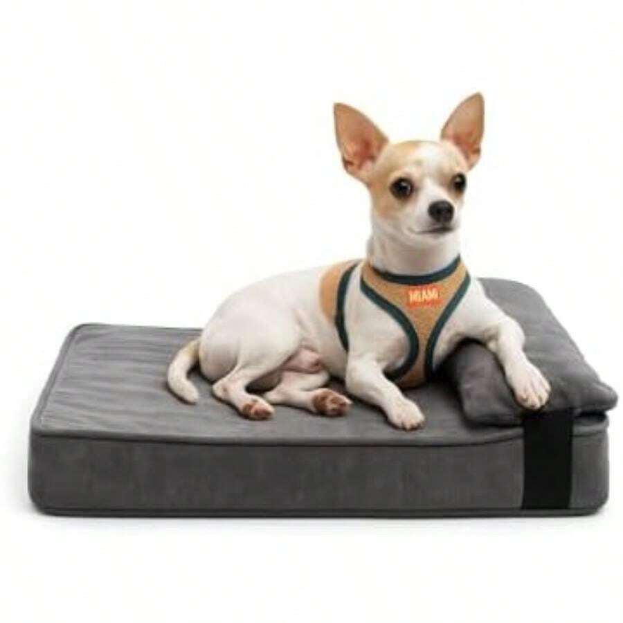Chicos – Cama Ortopédica para Perro con Almohada Lateral, Tela de Tapicería Premium Lavable, Antideslizante y Acolchada – 47x40x7cm para Perros Chicos(Chico (small)) - Multicolor - Ver 1