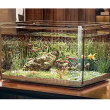 1个透明亚克力桌面鱼缸，小型方形水族箱，适用于家庭/办公室 - 無色 - 查看 2