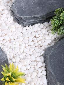 100g/200g/500g/800g Polished Colorful Pebbles For Aquarium Decoration, 6-30mm Smooth Stones Suitable For Fish Tank, Turtle Tank, Glass Container, Terrarium Landscaping. Ideal For Decorations For Ramadan, Easter, Mother's Day, Valentine's Day, Christmas, Halloween And More. Can Also Be Used For Indoor/Outdoor Plants, Vases, Planters - Multicolor - View 10