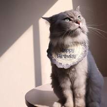 Adjustable Knitted "Happy Birthday" Embroidered Pet Birthday Party Scarf, Suitable For Cats And Dogs - Beige - View 7