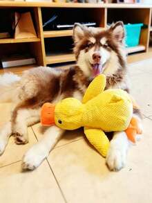 1 Set Of Soft Duck Plush Toys That Can Bark, Yellow/Green/Pink,Companion Animals Cats And Dogs, Helping Dogsplay And Consume Energy, Suitable Small And Mediumsized Pets (Large Pets May Bite People, So It Is Not Recommended Large Pets), Pet XS06 - Multicolor - 查看 3