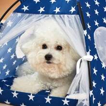 Tienda De Campaña Portátil y Plegable Azul Para Mascotas, Adecuada Para Gatos y Perros, Para Todas Las Estaciones - XL - Ver 6