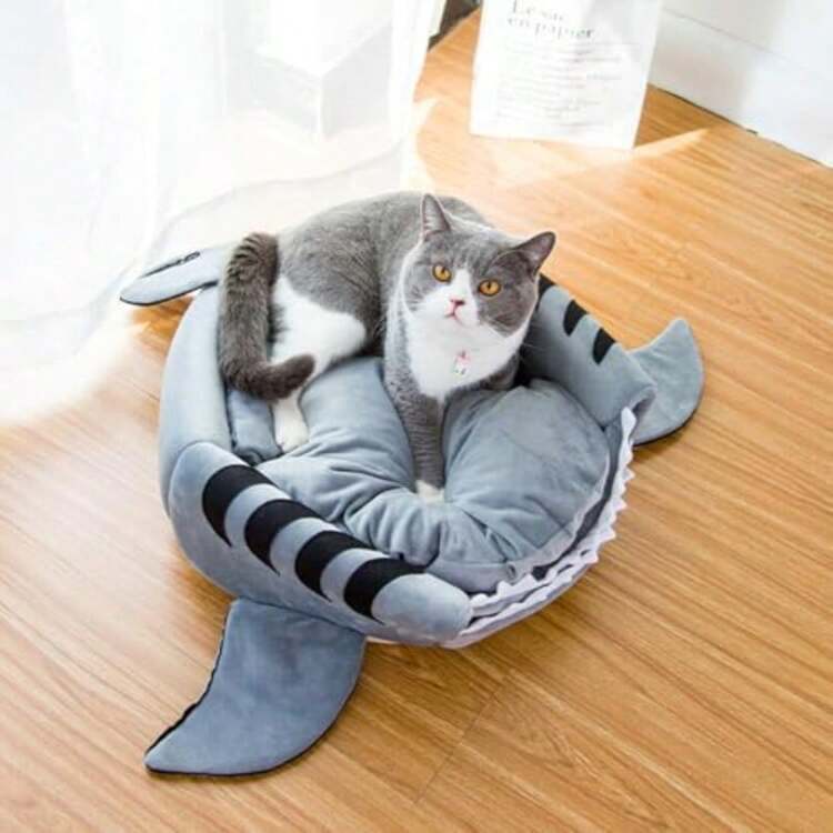 Pet Sofa - As Pic - View 6