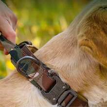 TACGEAR 军用 K9 项圈：重型防拉战术项圈，适用于德国牧羊犬和大型犬，配有减震弹性牵引绳（6 种尺寸）“瞬间制止拉扯！” 专业战术犬项圈套装 - 可拆卸军用尼龙颈部保护套，配有弹性减震牵引绳，适用于杜宾犬 - 彩色 - 查看 9