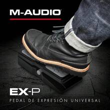 -AUDIO EX-P Pedal de Expresión Universal para Teclado MIDI, Teclado Musical, Controlador MIDI y Pedales de Efectos de Guitarra Compatibles - Pedalear para sostener - Ver 7