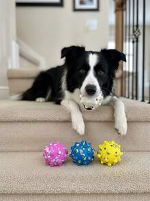 弹性狗狗球互动咀嚼玩具，清洁牙齿，训练玩耍两用，适合中大型犬和幼犬 - 彩色 - 查看 5