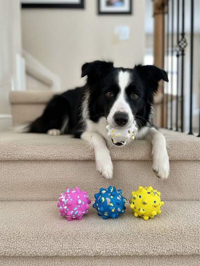 弹力狗球，趣味狗狗玩具，咀嚼球，清洁牙齿，训练和玩耍，适合中型幼犬和大型犬的互动玩具