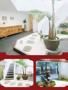 1000 جرام من الحصى المتنوع للصبار والكاكتوس، أحجار طبيعية مصقولة غير متماثلة بحجم 0.15-0.23 بوصة، حصى مناسب لزراعة النباتات والأواني الزجاجية والحدائق الخارجية، باللون الأبيض