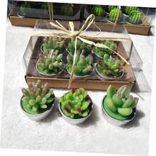 6 Piezas velas suculentas vela cumpleaos vela de cumpleaos scented candles velas candelita plantas suculentas artificiales vela aromtica hechas a mano plantar - como se muestra - Ver 9