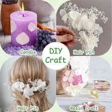 zxr 1500 pétalos de flores de hortensias blancas de marfil secas reales pétalos naturales para bodas fiestas confeti noche romántica decoración de propuestas manualidades 12 onzas125 - blanco - Ver 4