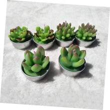 6 Piezas velas suculentas vela cumpleaos vela de cumpleaos scented candles velas candelita plantas suculentas artificiales vela aromtica hechas a mano plantar - como se muestra - Ver 7