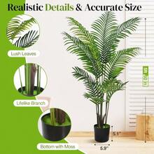 Artificial Palm Tree 4FT Fake Tree With White Tall Planter 2 Pack Faux Tropical Areca Floor Plant In Pot Artificial Silk Plant For Home Office Living Room Decor Indoor - 5 FT - Xem 2