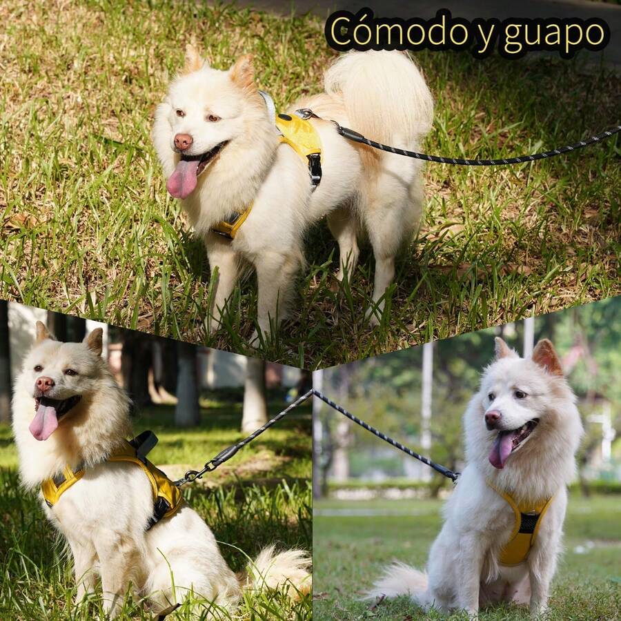 Adecuado para perros pequeños, medianos y grandes, arnés de perro ajustable, reflectante, anti-tirón, con bolsa de almacenamiento y asa de control, adecuado para paseos, viajes y accesorios de entrenamiento de perros. - Fucsia con Correa 1.5m - Ver 1