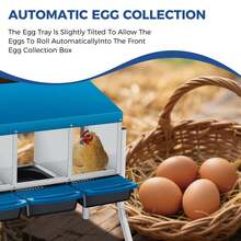 Techigher Chicken Nesting Boxes, 3/4 Hole Metal Chicken Egg Laying Box With Pull-Out Trays And Rollout Egg Collection For ChickenCoop - Blue With Metal Legs, 4 Holes - View 5