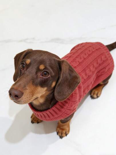 1pc 2025 New Pet Sweater, Grey Knitted Sweater, British Style Sweater, Dachshund Sweater, For Small Dogs & Cats, Autumn/Winter Warm Outfit, Suitable For Medium/Small Dogs & Cats, Cute & Simple Design, Warm, Suitable For Teddy, Poodle, Corgi, Anti-Shedding, Warm, Suitable For Short-Legged Dogs & Cats